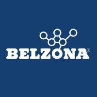 belzona logo image