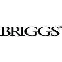 briggs plumbing products llc logo image