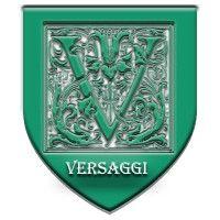 versaggi information systems, llc logo image