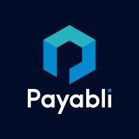 payabli logo image