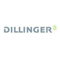 dillinger logo image