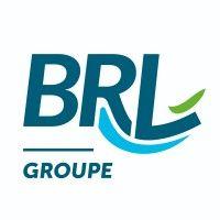 brl groupe logo image