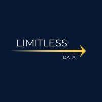 limitless data llc logo image