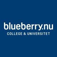 blueberry college & universitet logo image