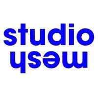 studio mesh logo image