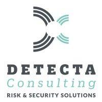 detecta consulting logo image