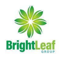 brightleaf group inc logo image