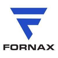 fornax mühendislik ve yazılım san. tic. a.ş. logo image