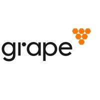 grape - dag-based layer 1 network logo image