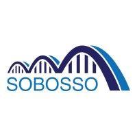 sobosso llc