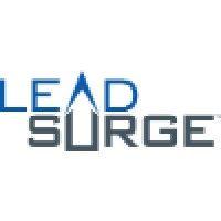 lead surge llc logo image