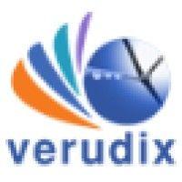 verudix solutions inc