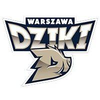 dziki warszawa