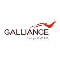 galliance logo image