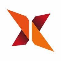 xcidic logo image