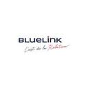 logo of Bluelink International Cz