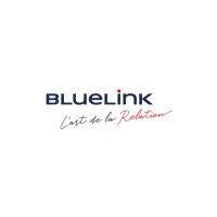 bluelink international cz logo image