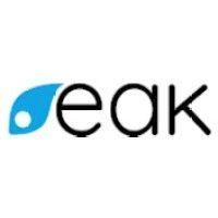 eak digital | blockchain pr agency logo image