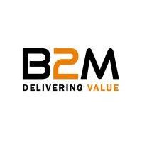 b2m-it logo image