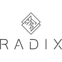 radix portfolio gestão de investimentos logo image