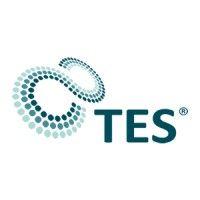 tes group logo image