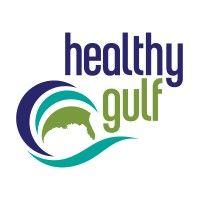 healthy gulf logo image