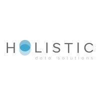 holistic data solutions logo image