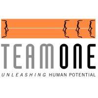 team one international limited