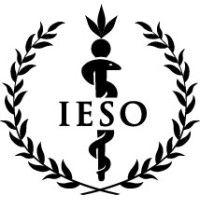 ieso holdings logo image