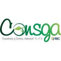 consga bic sas logo image