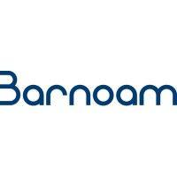 barnoam & co ltd. logo image