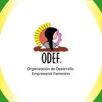 organización de desarrollo empresarial femenino - odef ongd logo image