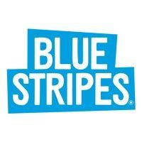 blue stripes logo image