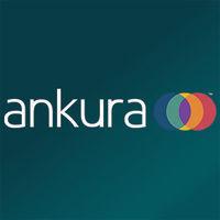 ankura joint venture and partnership practice logo image