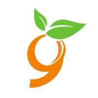 9seeds, llc logo image