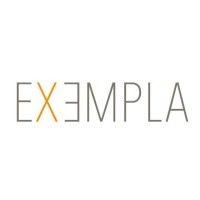 exempla management & consulting logo image