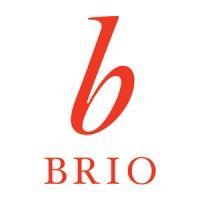 brio books logo image