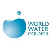 world water council logo image