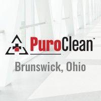 puroclean professional services logo image