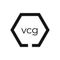 vigilance consulting group logo image