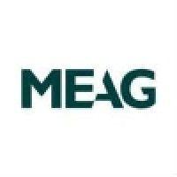 meag new york corporation logo image