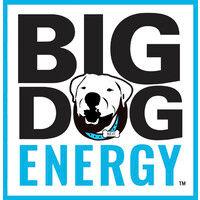 big dog energy, llc logo image