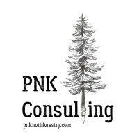 pnk consulting, llc logo image