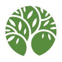 willow tree recruiting logo image