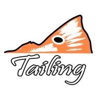 tailing international, llc logo image