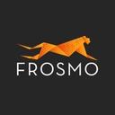 logo of Frosmo