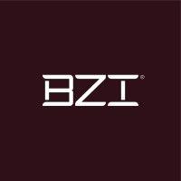 bzi logo image