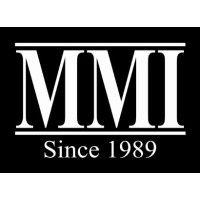 mmi financial group, inc.