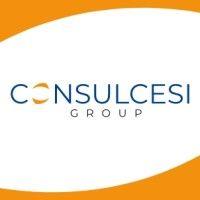 consulcesi group logo image