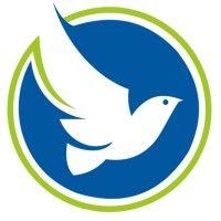 bluebird solar private limited logo image